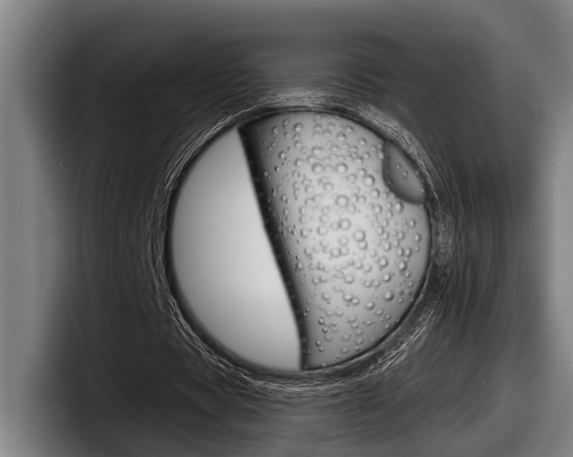 X0000098150529200804171158