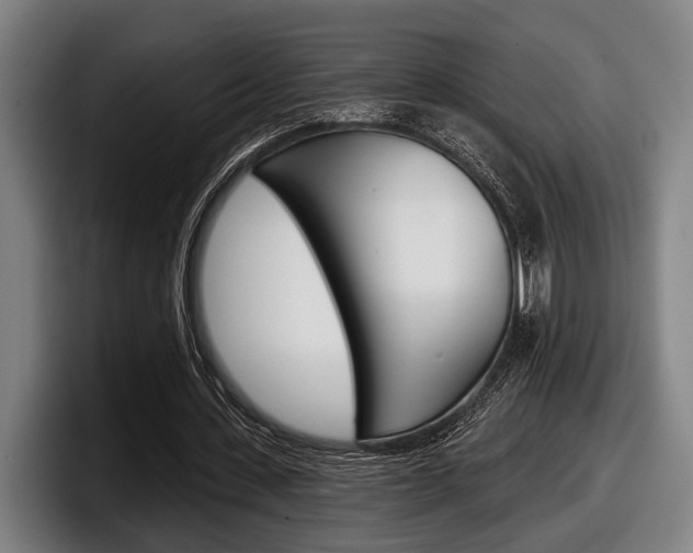 X0000098150531200804171158