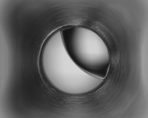 X0000098150532200804171158