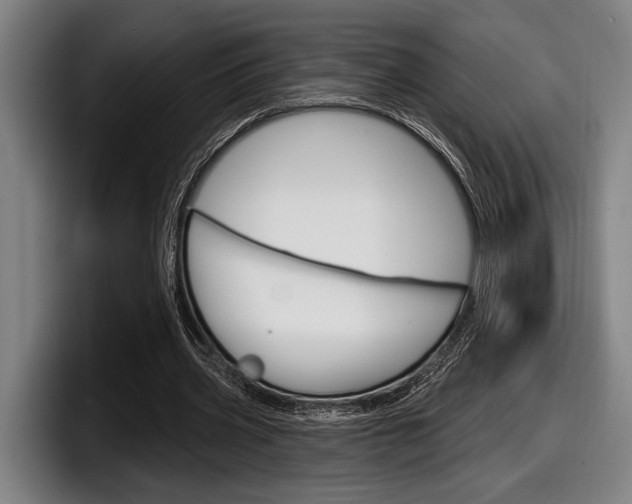 X0000098150533200804171158