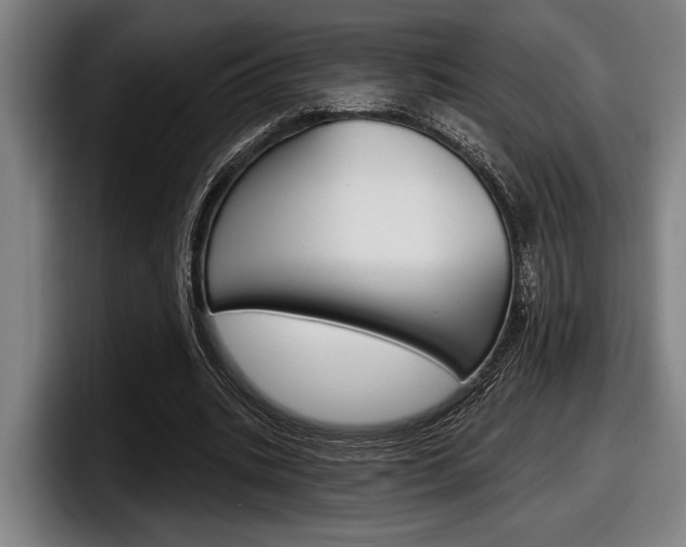 X0000098150535200804171158