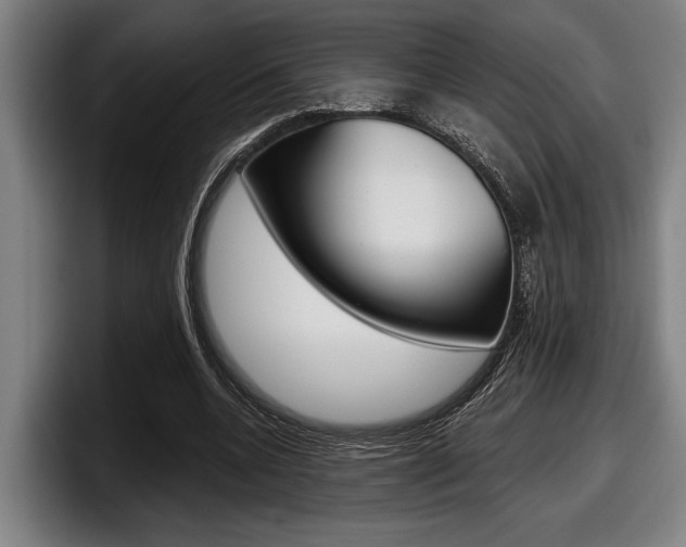 X0000098150536200804171158