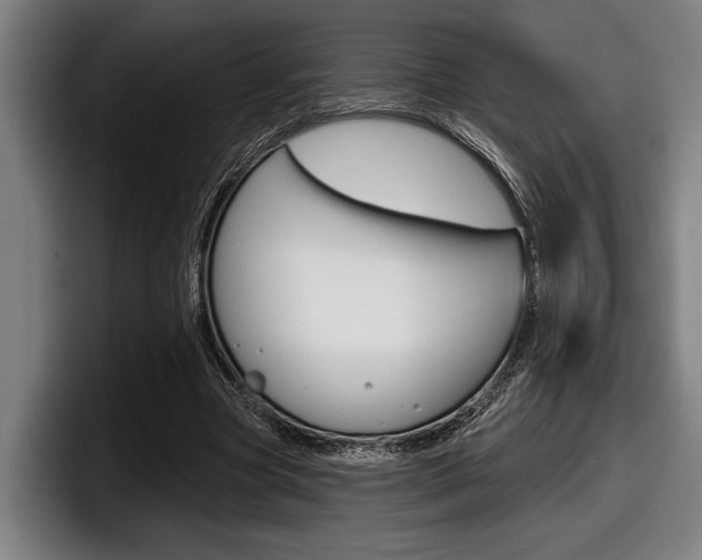 X0000098150537200804171158