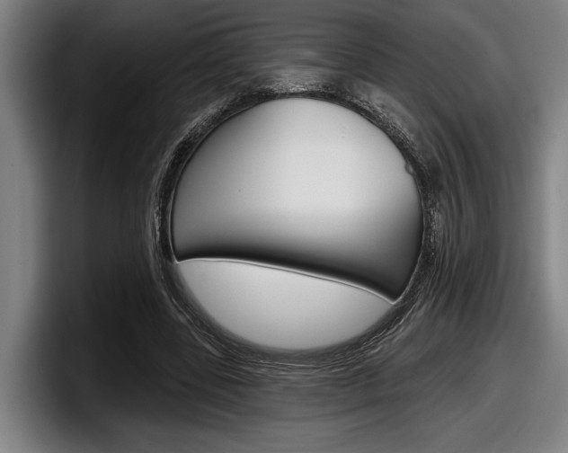 X0000098150539200804171158