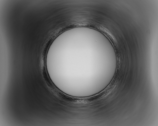 X0000098150541200804171158
