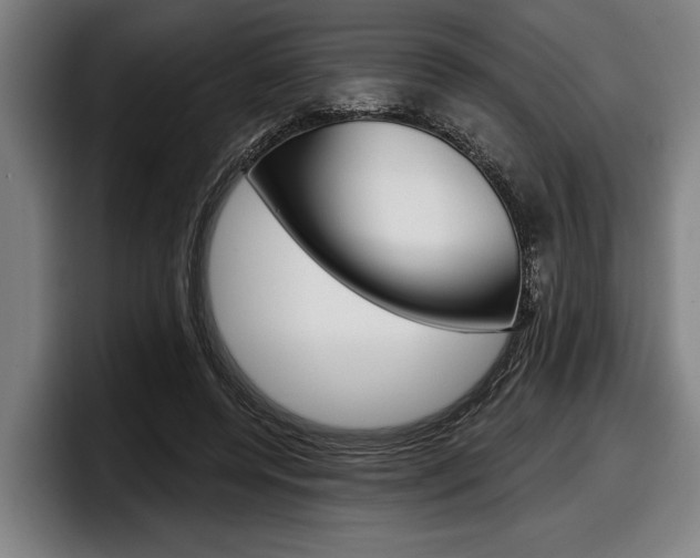 X0000098150544200804171158