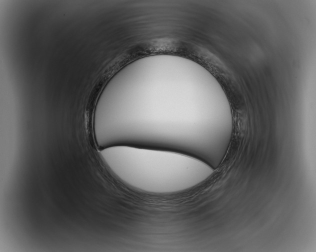 X0000098150550200804171159