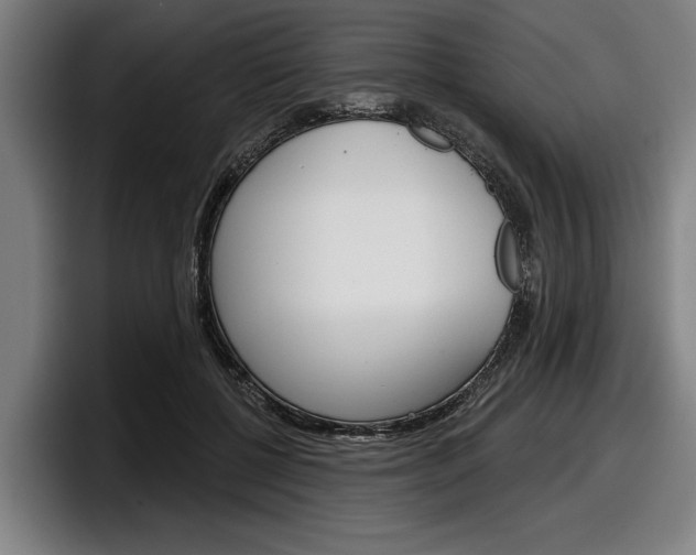 X0000098150552200804171159