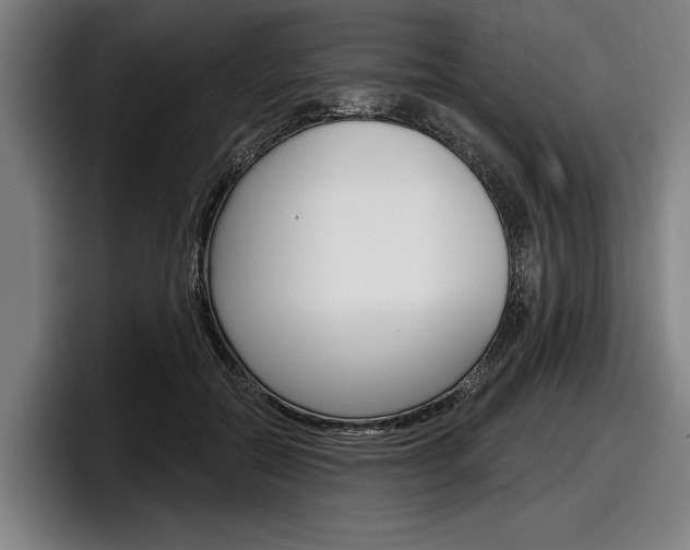 X0000098150554200804171159