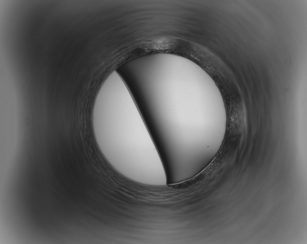 X0000098150555200804171159