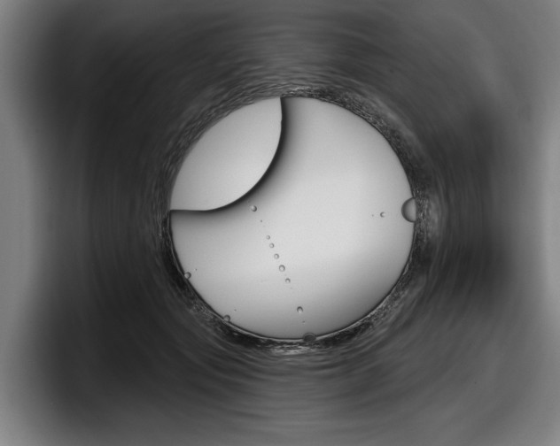 X0000098150557200804171159
