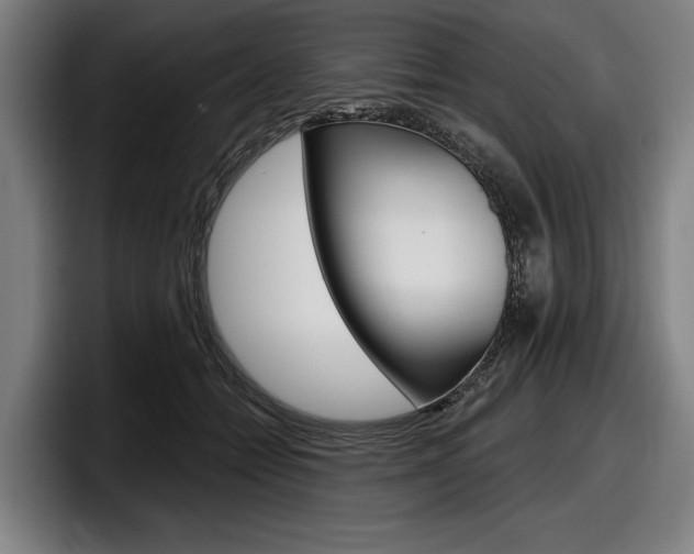 X0000098150558200804171159