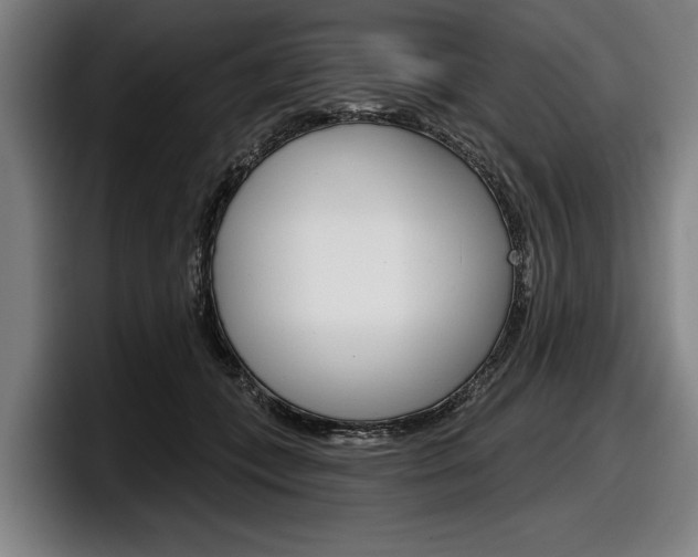 X0000098150559200804171159