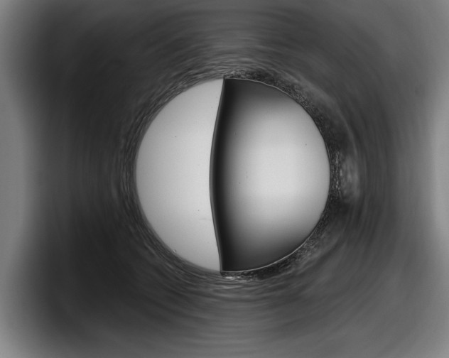 X0000098150562200804171159