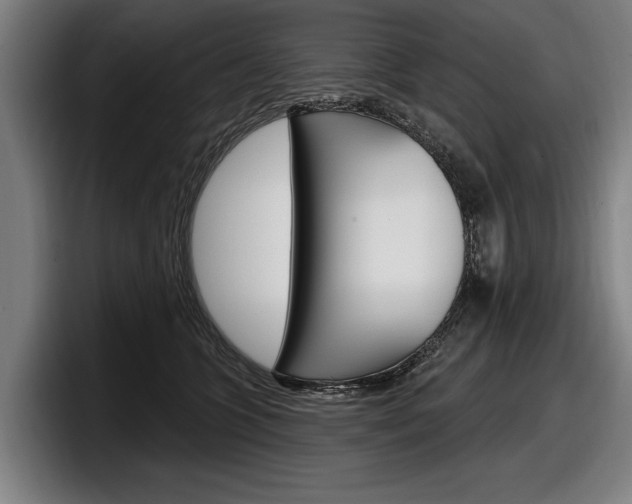 X0000098150563200804171159