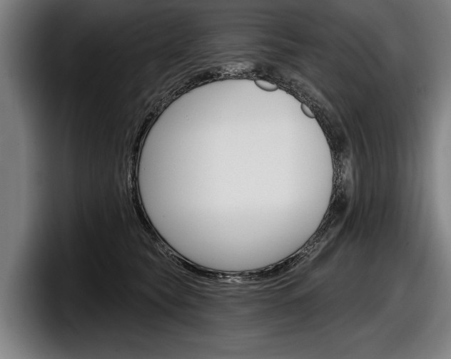 X0000098150565200804171159