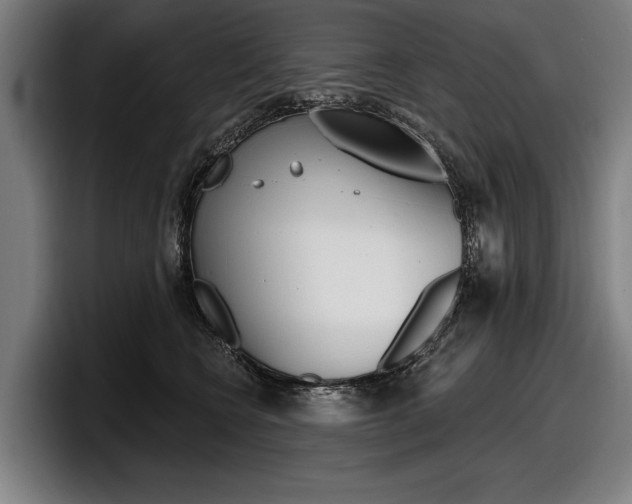 X0000098150566200804171159