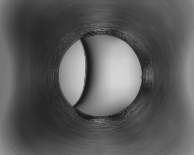 X0000098150567200804171159
