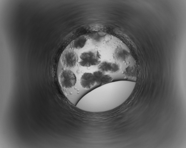 X0000098150569200804171159