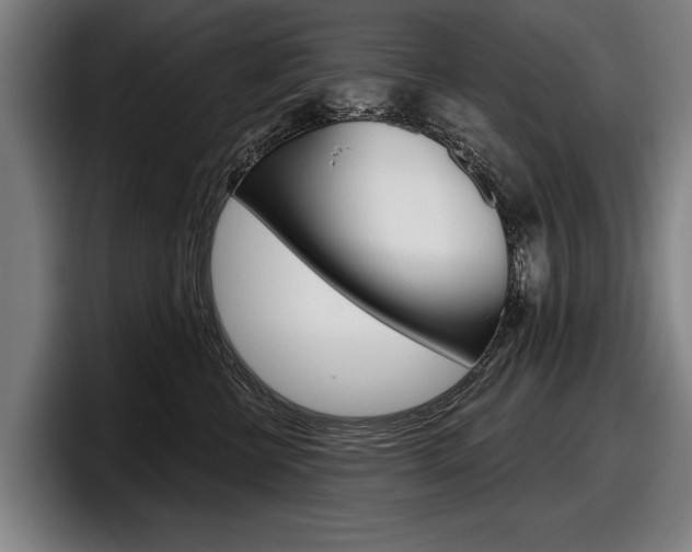 X0000098150570200804171159