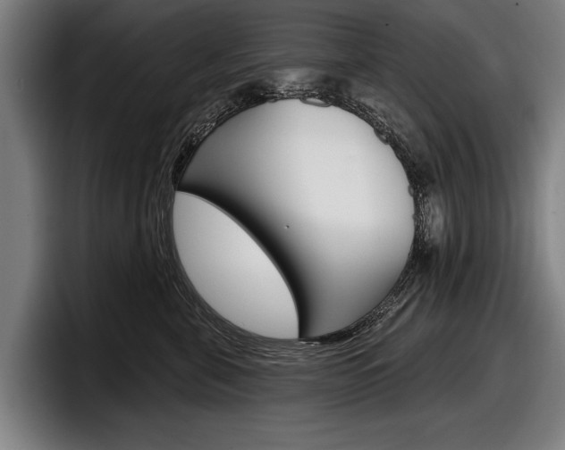 X0000098150571200804171159