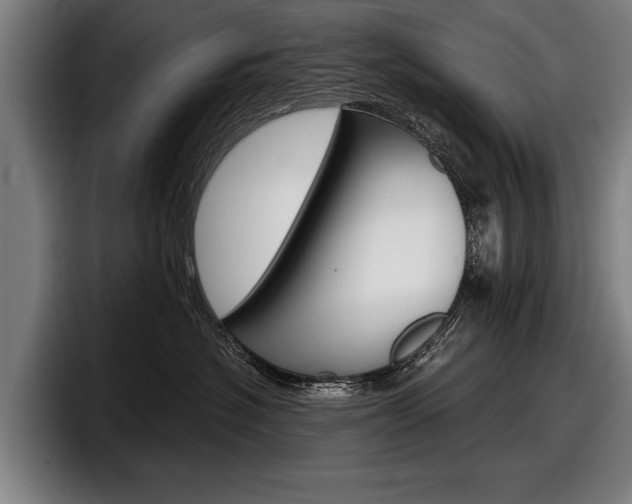 X0000098150574200804171159