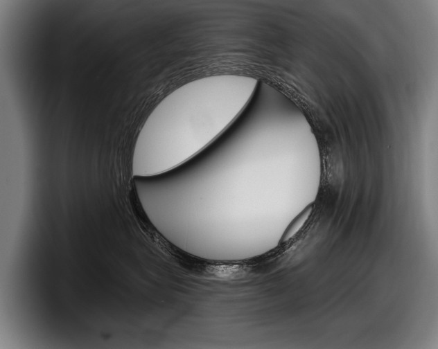 X0000098150575200804171159