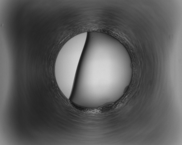 X0000098150576200804171159