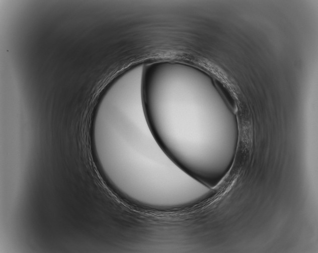 X0000098150577200804171158