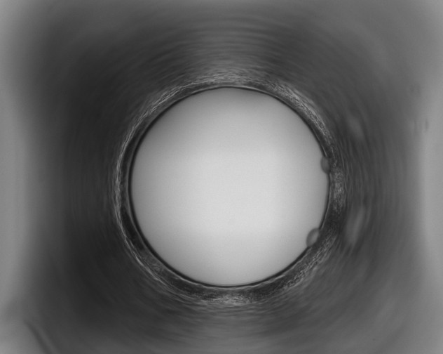 X0000098150578200804171158