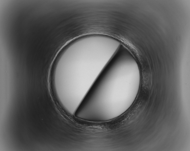 X0000098150580200804171158