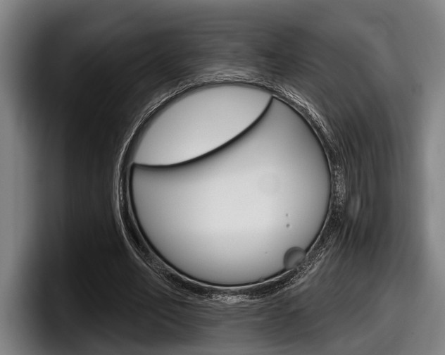 X0000098150582200804171158
