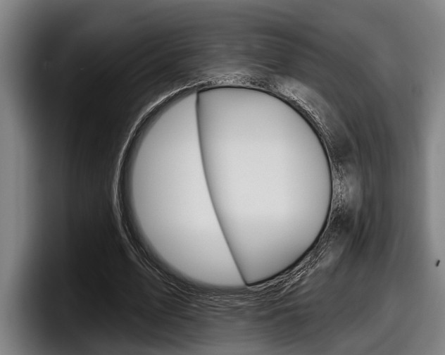 X0000098150583200804171158