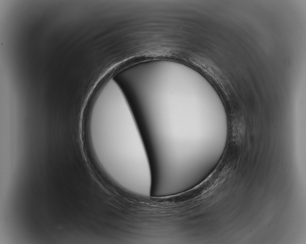 X0000098150584200804171158