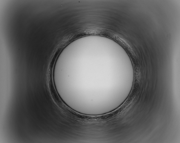 X0000098150586200804171158