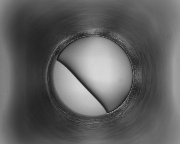 X0000098150587200804171158