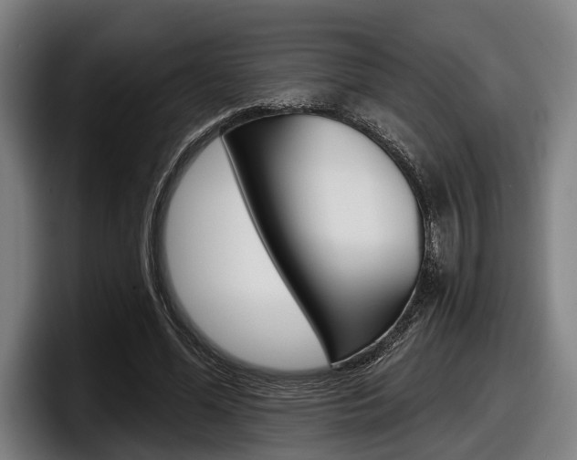 X0000098150588200804171158