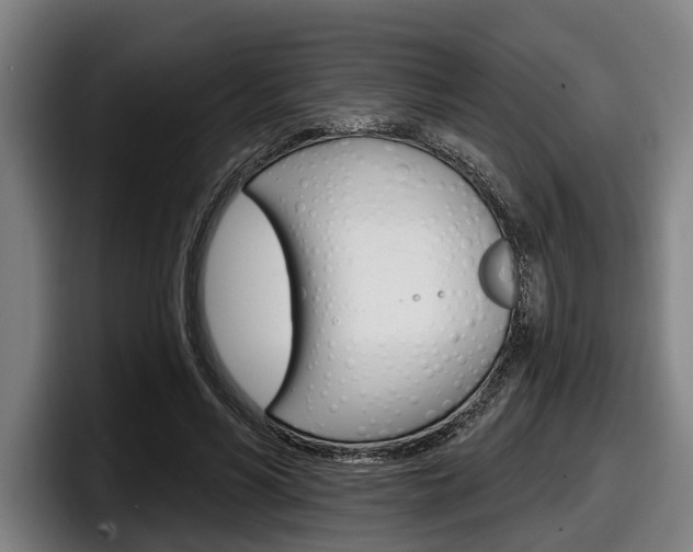 X0000098150590200804171158