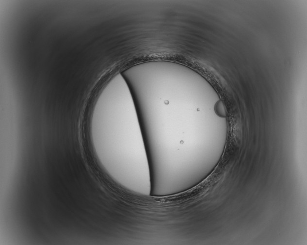 X0000098150591200804171158