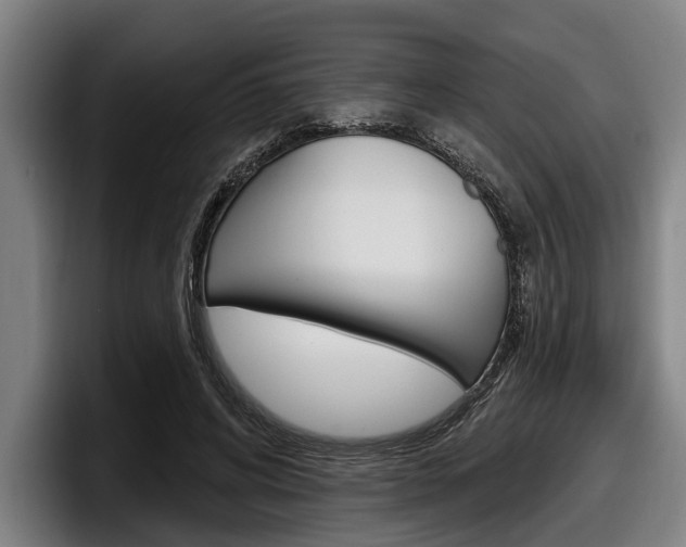 X0000098150592200804171158