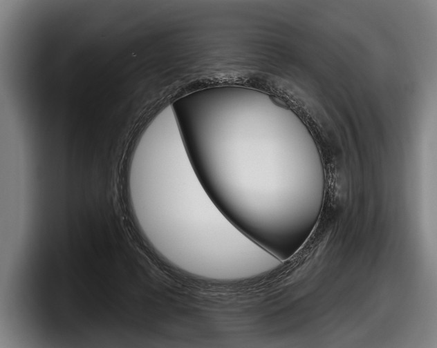 X0000098150593200804171158