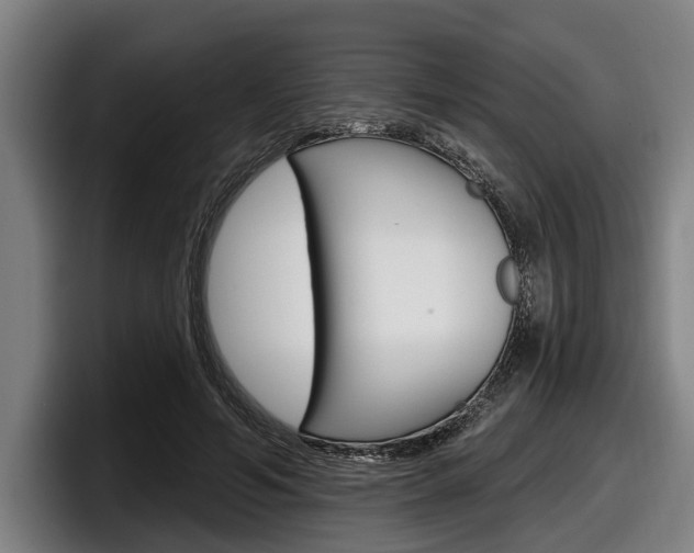 X0000098150594200804171158