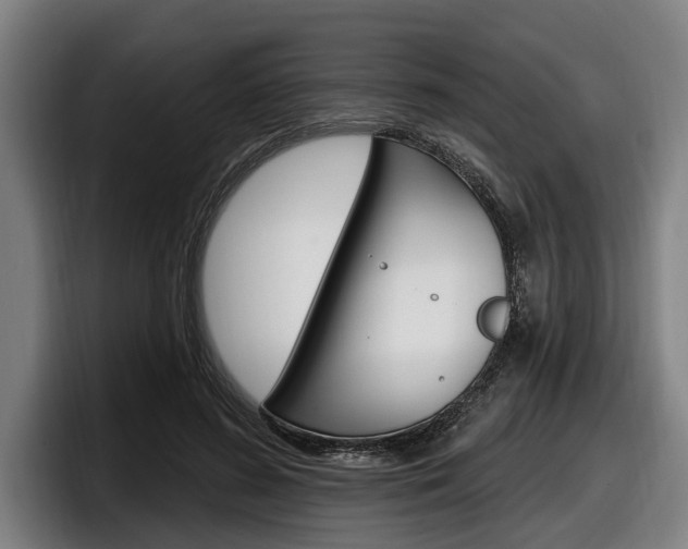 X0000098150596200804171158