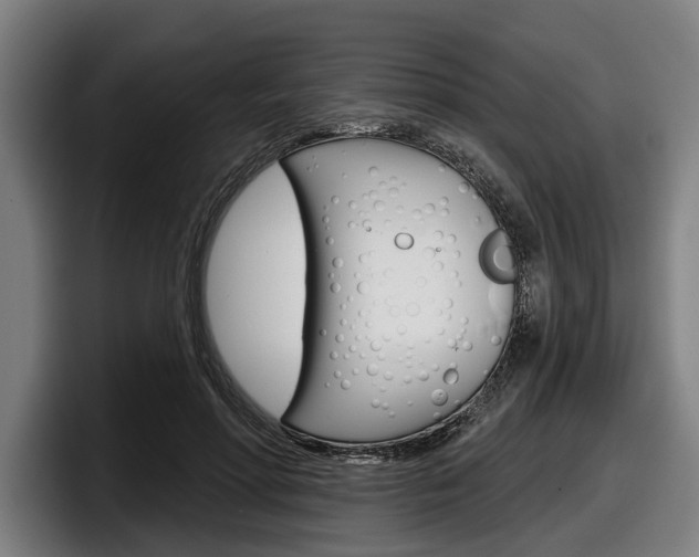 X0000098150598200804171158
