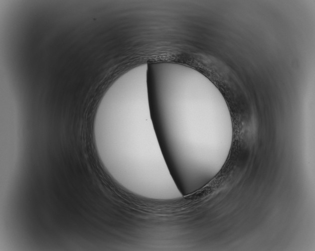 X0000098150599200804171158
