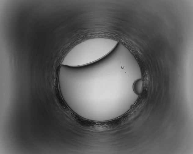 X0000098150608200804171158