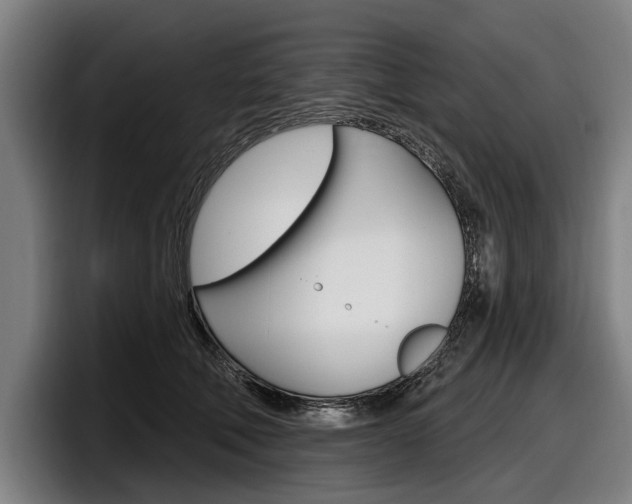X0000098150610200804171158