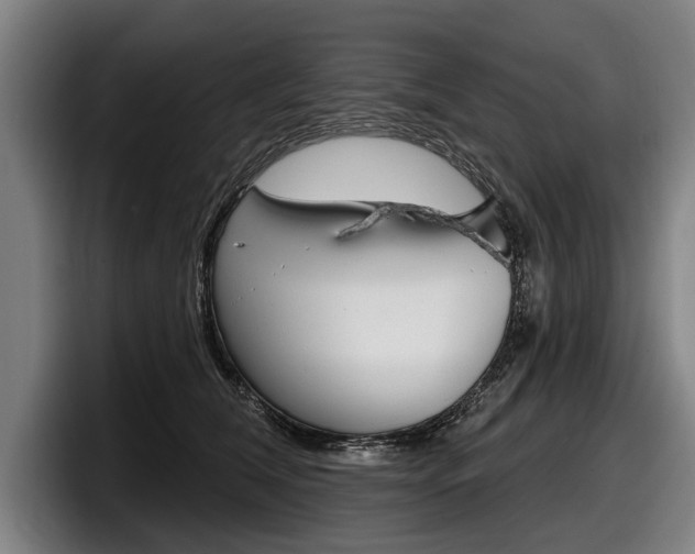 X0000098150612200804171158
