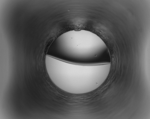 X0000098150613200804171158