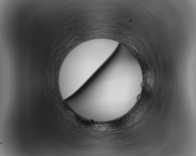 X0000098150615200804171158